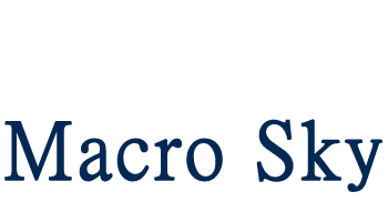 描述